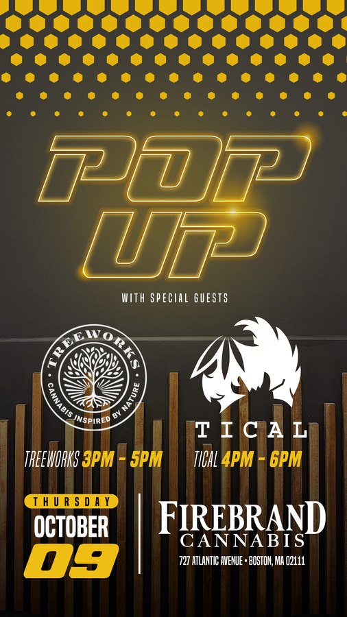 Treeworks & Tical Pop Up